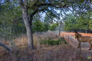 Tract 14 Sandstone Ln, Seguin, TX 78155 - Photo 5
