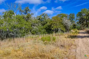 Tract 14 Sandstone Ln, Seguin, TX 78155 - Photo 11
