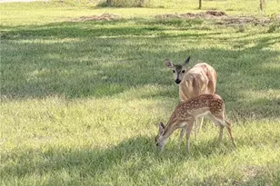 716 L Hrabovsky Rd, Yoakum, TX 77995 - Photo 37