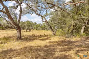 716 L Hrabovsky Rd, Yoakum, TX 77995 - Photo 33