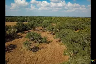 716 L Hrabovsky Rd, Yoakum, TX 77995 - Photo 39