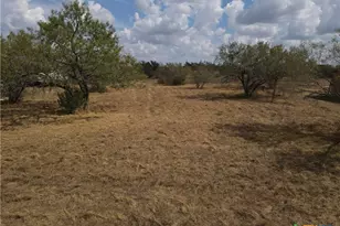 141 Muehl Rd, Seguin, TX 78155 - Photo 3