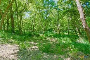 665 Sh 230 Loop, Smithville, TX 78957 - Photo 15