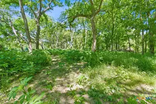 665 Sh 230 Loop, Smithville, TX 78957 - Photo 5