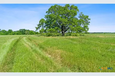 663 Sh 230 Loop, Smithville, TX 78957 - Photo 11