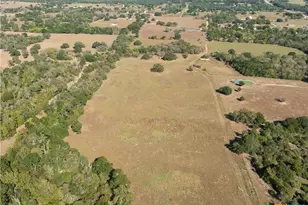 202 County Rd 142b, Sublime, TX 77986 - Photo 9