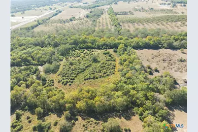 202 County Road 142B, Sublime, TX 77986 - Photo 7