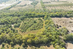 202 County Rd 142b, Sublime, TX 77986 - Photo 7