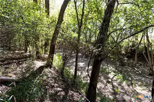 202 County Rd 142b, Sublime, TX 77986 - Photo 23