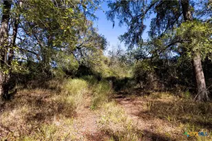 202 County Rd 142b, Sublime, TX 77986 - Photo 29