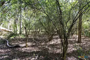 202 County Rd 142b, Sublime, TX 77986 - Photo 21