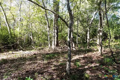 202 County Road 142B, Sublime, TX 77986 - Photo 31