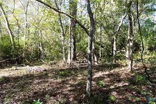 202 County Rd 142b, Sublime, TX 77986 - Photo 31