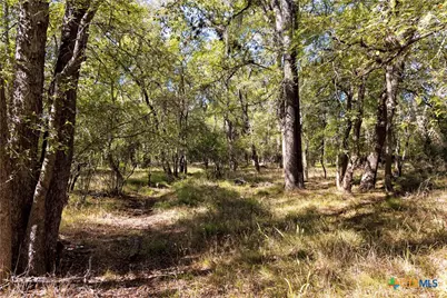 202 County Road 142B, Sublime, TX 77986 - Photo 35