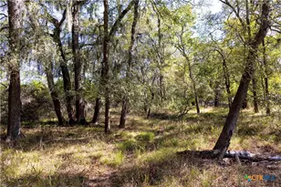 202 County Rd 142b, Sublime, TX 77986 - Photo 33