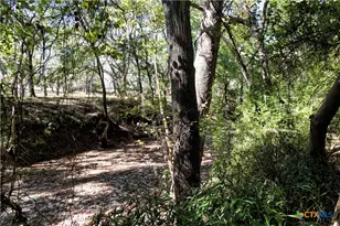 202 County Rd 142b, Sublime, TX 77986 - Photo 27