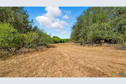 2141 County Road 132, Floresville, TX 78114 - Photo 33