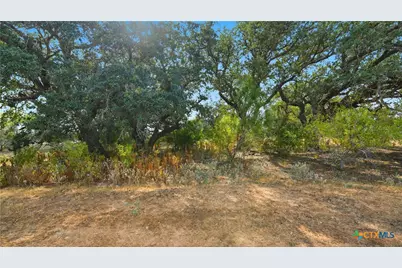 2141 County Road 132, Floresville, TX 78114 - Photo 31