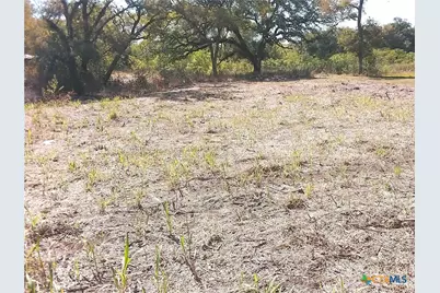 100 SW Blk 1st Avenue, Waelder, TX 78959 - Photo 3