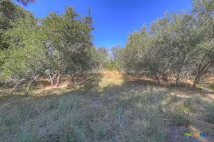 509 Moonlight Cir, New Braunfels, TX 78132 - Photo 43