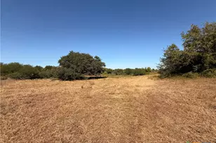 2944 State Hwy 111, Yoakum, TX 77995 - Photo 23