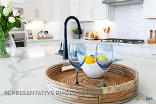 12423 Diagon Aly, San Antonio, TX 78254 - Photo 5