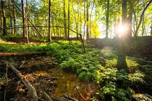 10326 Cr 3112 N, Kilgore, TX 75662 - Photo 21