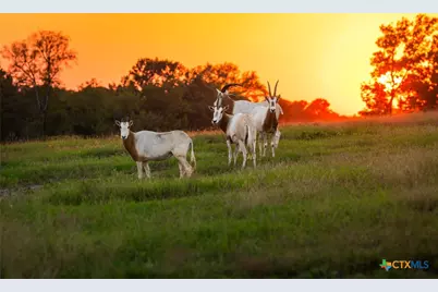 10326 Cr 3112 N, Kilgore, TX 75662 - Photo 13