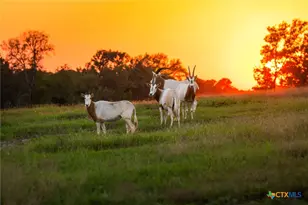 10326 Cr 3112 N, Kilgore, TX 75662 - Photo 13