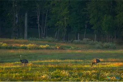 10326 Cr 3112 N, Kilgore, TX 75662 - Photo 39