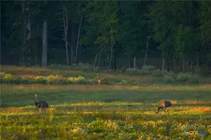 10326 Cr 3112 N, Kilgore, TX 75662 - Photo 39