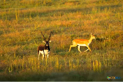 10326 Cr 3112 N, Kilgore, TX 75662 - Photo 17