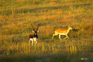 10326 Cr 3112 N, Kilgore, TX 75662 - Photo 17