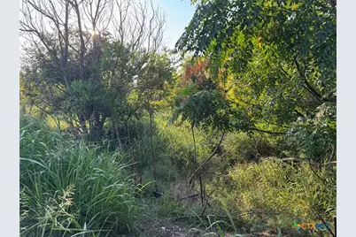 4401 Trimmier Road, Killeen, TX 76542 - Photo 15