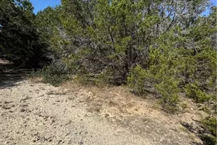 Tbd Cr 304, Bertram, TX 78605 - Photo 11