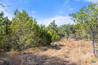 2058 Legacy Hills Drive, Johnson City, TX 78636 - Photo 41