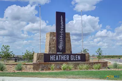 443 Agave Flats Drive, New Braunfels, TX 78130 - Photo 27