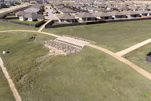 1098 Spring Terrace Loop, Temple, TX 76502 - Photo 45