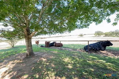 2542 Witter Road, Lockhart, TX 78644 - Photo 11