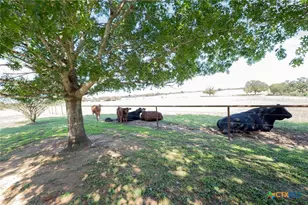 2542 Witter Rd, Lockhart, TX 78644 - Photo 11