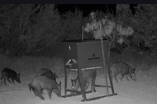 0 County Road 2773, Lometa, TX 76853 - Photo 25