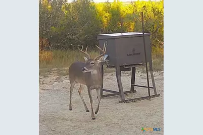 0 County Road 2773, Lometa, TX 76853 - Photo 27