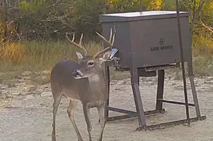 0 County Road 2773, Lometa, TX 76853 - Photo 27