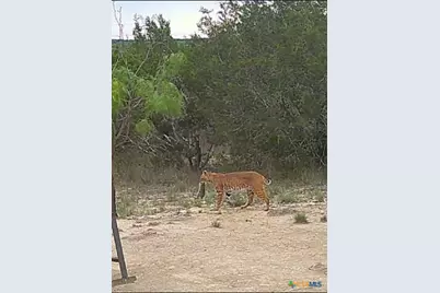 0 County Road 2773, Lometa, TX 76853 - Photo 23
