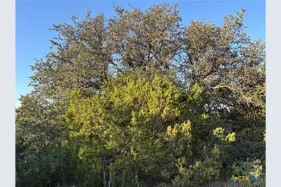 0 County Road 2773, Lometa, TX 76853 - Photo 17