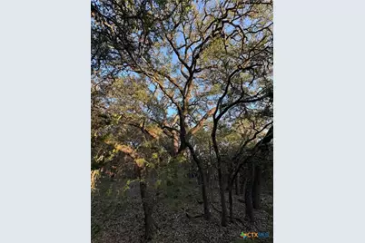 0 County Road 2773, Lometa, TX 76853 - Photo 9