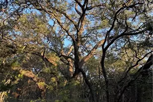 0 County Road 2773, Lometa, TX 76853 - Photo 9