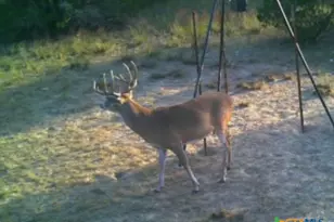 0 County Road 2773, Lometa, TX 76853 - Photo 29