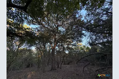 0 County Road 2773, Lometa, TX 76853 - Photo 7