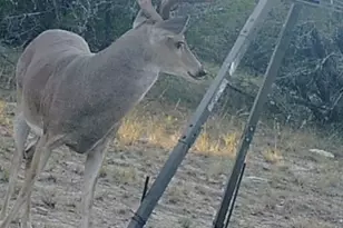 0 County Road 2773, Lometa, TX 76853 - Photo 3